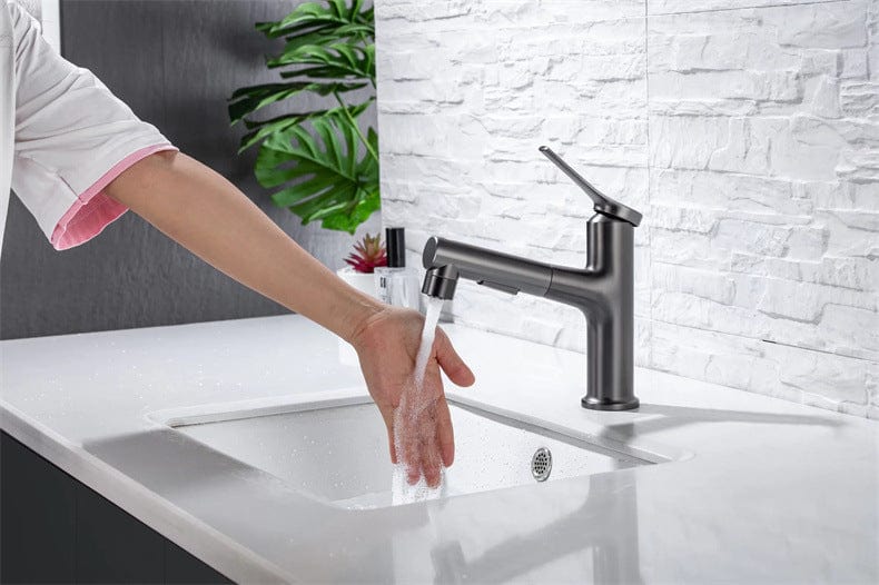 Bathroom Sink Faucet with Water Fountain & Pull Out Sprayer – NMC